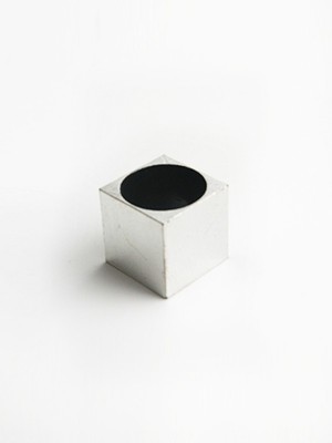 Tissue holder