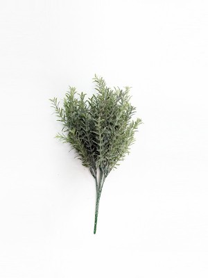 Foliage